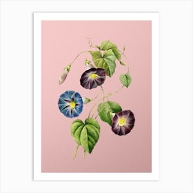 Vintage Morning Glory Botanical on Soft Pink n.0945 Art Print