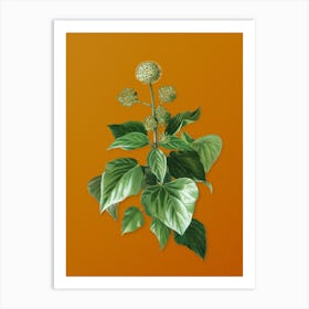 Vintage Common Ivy Botanical on Sunset Orange n.0350 Art Print