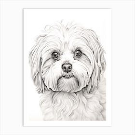Maltese Dog, Line Drawing 2 Art Print