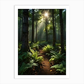 Ferns In The Forest 3 Art Print