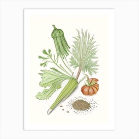 Celery Seeds Spices And Herbs Pencil Illustration 6 Art Print