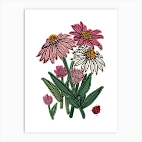Echinachea Herb Flower Art Print