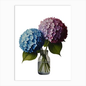 Hydrangeas In Vase Art Print