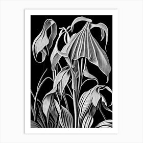 Jack In The Pulpit Wildflower Linocut 2 Art Print