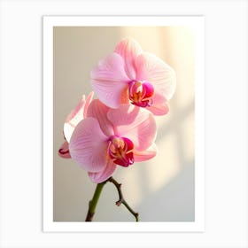 Whispers Of Orchids 2. Flower Art Print