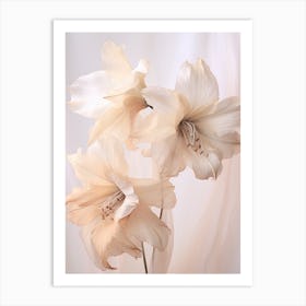 Boho Dried Flowers Amaryllis 3 Art Print