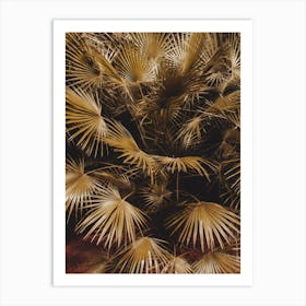Golden Palm Leaves III Art Print