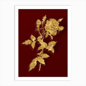 Vintage Provence Rose Botanical in Gold on Red n.0496 Art Print