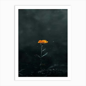 Dark Flower 22 Art Print