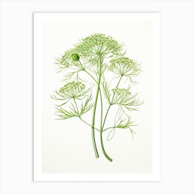 Dill Vintage Botanical Herbs 3 Art Print