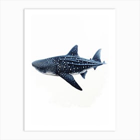  Oil Painting Of A Whale Shark Shadow Outline In Black 3 Art Print