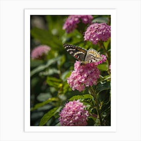 Butterfly On Pink Hydrangea Art Print