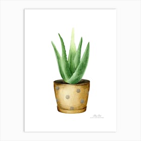 Aloe vera plant. Green plant. Beautiful plant. Thorns plant. Aloe vera flowers.8 Art Print