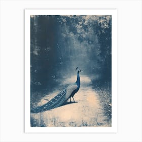 Peacock In The Wild Blue Cyanotype 4 Art Print