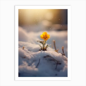 Flower In The Snow Art Print