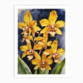 Oncidium Orchids Water Colour 1 Art Print