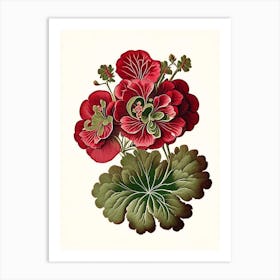 Geranium 1 Floral Botanical Vintage Poster Flower Art Print