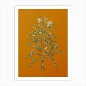 Vintage Narrow Leaved Spider Flower Botanical on Sunset Orange n.0683 Art Print