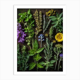 Herbs On A Dark Background Art Print