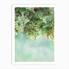 Acropora Suharsonoi Vi Storybook Watercolour Art Print