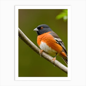 Eastern Towhee - Random Reality 2 Art Print