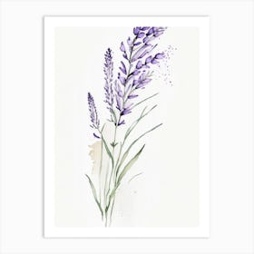 Lavender Herb Minimalist Watercolour 2 Art Print