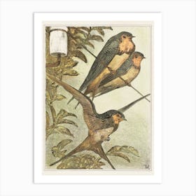 Three Swallows, Theo Van Hoytema Art Print