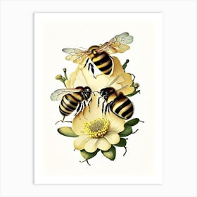 Bees 2 Vintage Art Print