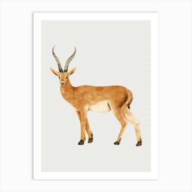 Antelope Art Print