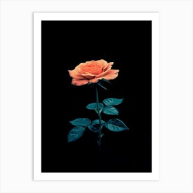 Single Rose On Black Background 43 Art Print