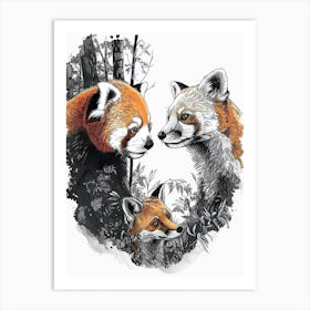 Red Panda And A Fox Ink Illustration 1 Art Print