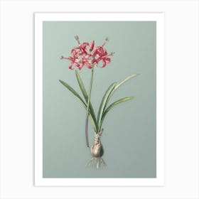 Vintage Guernsey Lily Botanical Art on Mint Green n.0153 Art Print