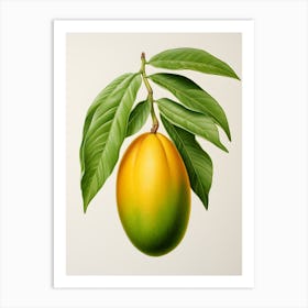 Mango On A Branch Art Print