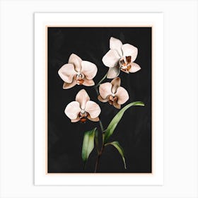 White Orchid Floral Art 1 Art Print