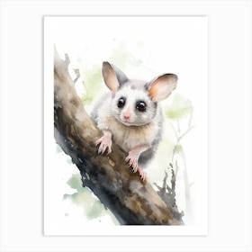 Light Watercolor Painting Of A Leadbeaters Possum 4 Art Print