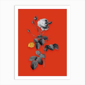 Vintage Provence Rose Black and White Gold Leaf Floral Art on Tomato Red n.0011 Art Print