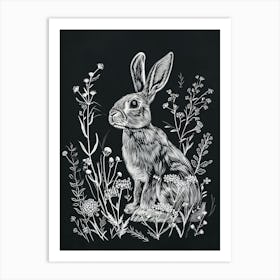 Blanc De Hotot Rabbit Minimalist Illustration 3 Art Print