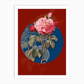 Vintage Botanical Vintage Duchess of Orleans Rose on Circle Blue on Red n.0014 Art Print