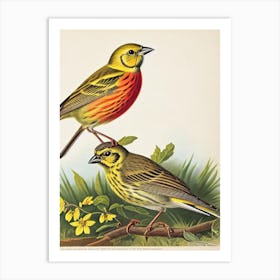 Yellowhammer James Audubon Vintage Style Bird Art Print