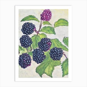 Black Raspberry Vintage Sketch Fruit Art Print