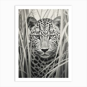 African Leopard Realism Portrait 4 Art Print