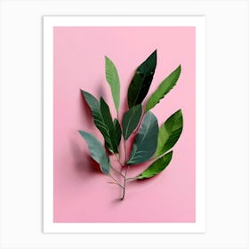 Green Leaves On Pink Background Art Print