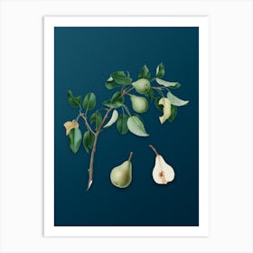 Vintage Pear Botanical Art on Teal Blue n.0760 Art Print