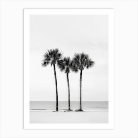 Three Palm Trees On The Beach 1 Art Print