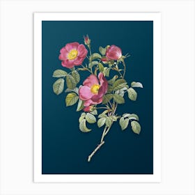 Vintage Rose of Love Bloom Botanical Art on Teal Blue n.0096 Art Print