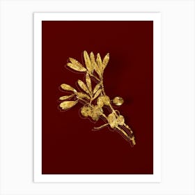 Vintage Olive Tree Branch Botanical in Gold on Red n.0053 Art Print