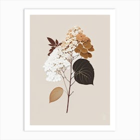 Hydrangea Root Spices And Herbs Retro Minimal 4 Art Print