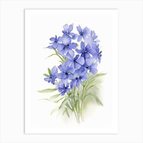 Wild Blue Phlox Wildflower Watercolour 1 Art Print