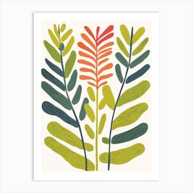 Ferns Art Print