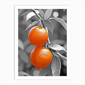 Two Oranges On A Tree Art Print